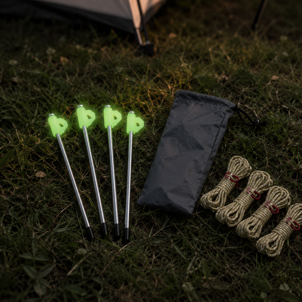 tent stakes and ropes