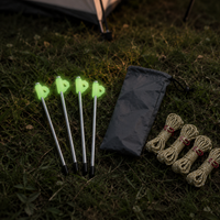 tent stakes and ropes