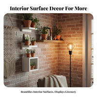 Minimalist Design Small Floating Shelf Set Space-Saving 4-Inch Square Ledge Multi-Purpose Wall-Mounted Rack Multifunctional for Home Decorators, Apartment Dwellers, Living Room, Bedroom, Hallway, Entryway