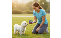 Teeth Cleaning Ball with Bell Gum Massage Interactive Training Ball for Dogs, Cats, Indoor Play