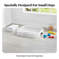 Indoor Dog Potty Easy to Clean Stainless Metal Pet Potty Keeps Paws Dry Puppy Training Toilet for Small Dogs, Young Dogs
