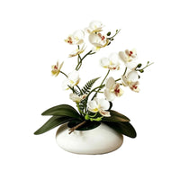 Phalaenopsis Tabletop Flowering Plant Decor 12-Blossom Flowering Plant Bonsai Photography Prop Film Material