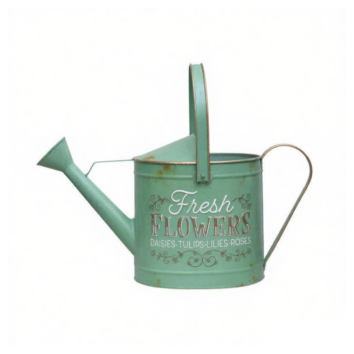 Watering Can with Long Spout Rustproof Watering Can Leakproof Vessel for Gardeners, Plant Lovers, Balcony