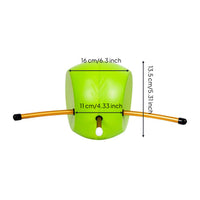 Molded Body Light Green Golf Wrist Coach Golf Swing Training Aid Seam down the Middle Sports Gear Shiny Gold