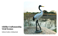 Red-Crowned Crane Sculpture Lifelike Details Red-Crowned Crane Statue Elegant Design Fairy Garden Bird for Gardeners