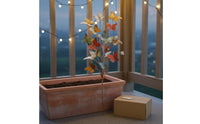 Butterfly Garden Stake Colorful Butterfly-Shaped Stake Yard Art Ornament Rust-Resistant for Flower Pot