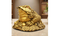 Three Legged Frog Statue Feng Shui Figurine Hand-Polished Abundance Frog Sculpture for Home