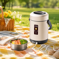electric heated lunch box