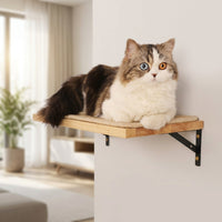Feline Shelves Climbing Wall Activity Center with Enclosed Shelter, 5-Level Wood Structure, Wall Mounted Clawing Poles for Large Indoor Kittens