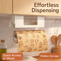 Wall Mounted Hanging Kitchen Organization Rack for Home Cooks, Stainless Steel Under Cabinet Paper Towel Holder