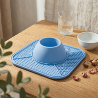 Square Slow Feeder Bowl Textured Pet Accessory Dishwasher Safe