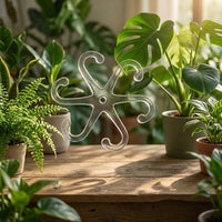 Indoor Plants Plant Support for Monstera Support, Clear Acrylic Plant Supports for Indoor Plants, Hexagonal Design Plant Sticks Support, 1 Pack