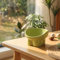 Raised Cat Bowl Wide Tilted Cat Bowl Stable Dish for Young Dogs