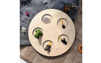 Recessed Cycle Recognition Board Printed Arrows Educational Matching Game Board Round Life Cycle Matching Game Set Natural Wood