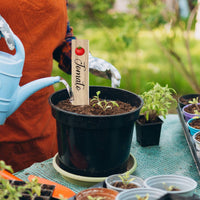14 Pieces Garden Labels with Stakes Flat Garden Placards Plastic Plant Labels Decorative Markers Reusable for Gardeners