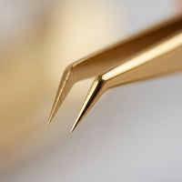 Tweezers for Lash Technician, Stainless Steel Curved with Pointed Tip, Isolation Tools for False Application, Angled Design