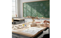Assembly Aircraft Model Science Education DIY Plane Kit Realistic Details Wooden Airplane Model for Kids, Classroom