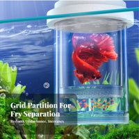 Guppy Fry Separation Tank High Clearness Buoyant Fish Hatchery Box 360° Viewing Aquarium Breeder Box
