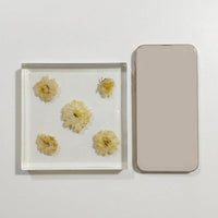 High Transparency Display Block, Plant Interior Cube for Photography