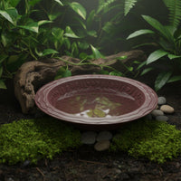 Turtle Bath Basin Low Entry Tortoise Water Bowl with Ramp Tortoise Soaking Dish Anti-Drowning Design Amphibian Water Bowl