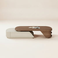 Extendable Coffee Table Telescopic Coffee Table Low-Profile Furniture for Living Room, Small Areas