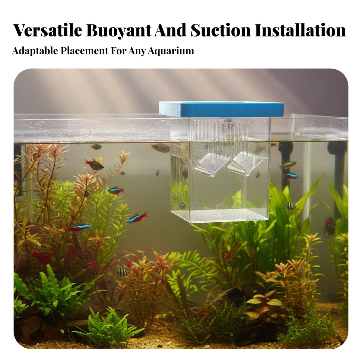 Buoyant Aquatic Creature Breeding Box High Clarity Aquatic Creature Breeding Box Aquatic Habitat Hatchery Vented