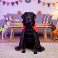 Dog Cape with Collar Black Canine Cape Glossy for Dogs, Pets
