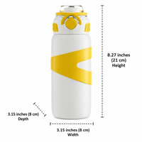 insulated water bottle