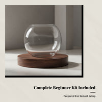 Glass Bowl with Thickened Body Versatile Spherical Fishes Bowl Easy to Clean Glassware for Simplicity Lovers, Tabletop, Desk