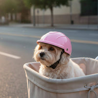 Photo Prop Pet Helmet Lightweight Dog Safety Helmet Adjustable Strap for Cats, Outdoor, Motorcycle Rides, Biking