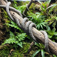 Snake Accessories for Vivarium, Humidity Resistant Vine, Sagging Resistant Bark-Textured Soft Artificial Branch for Climbing Reptiles, 1m