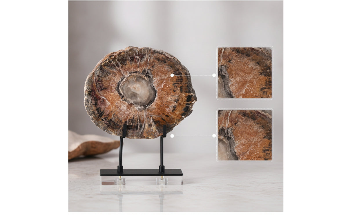 Desk Ornament with Stand Fossilized Arboreal Sculpture Decorative Petrified Wooden Decoration for Interior Designers, Collectors, Console Table, Desk