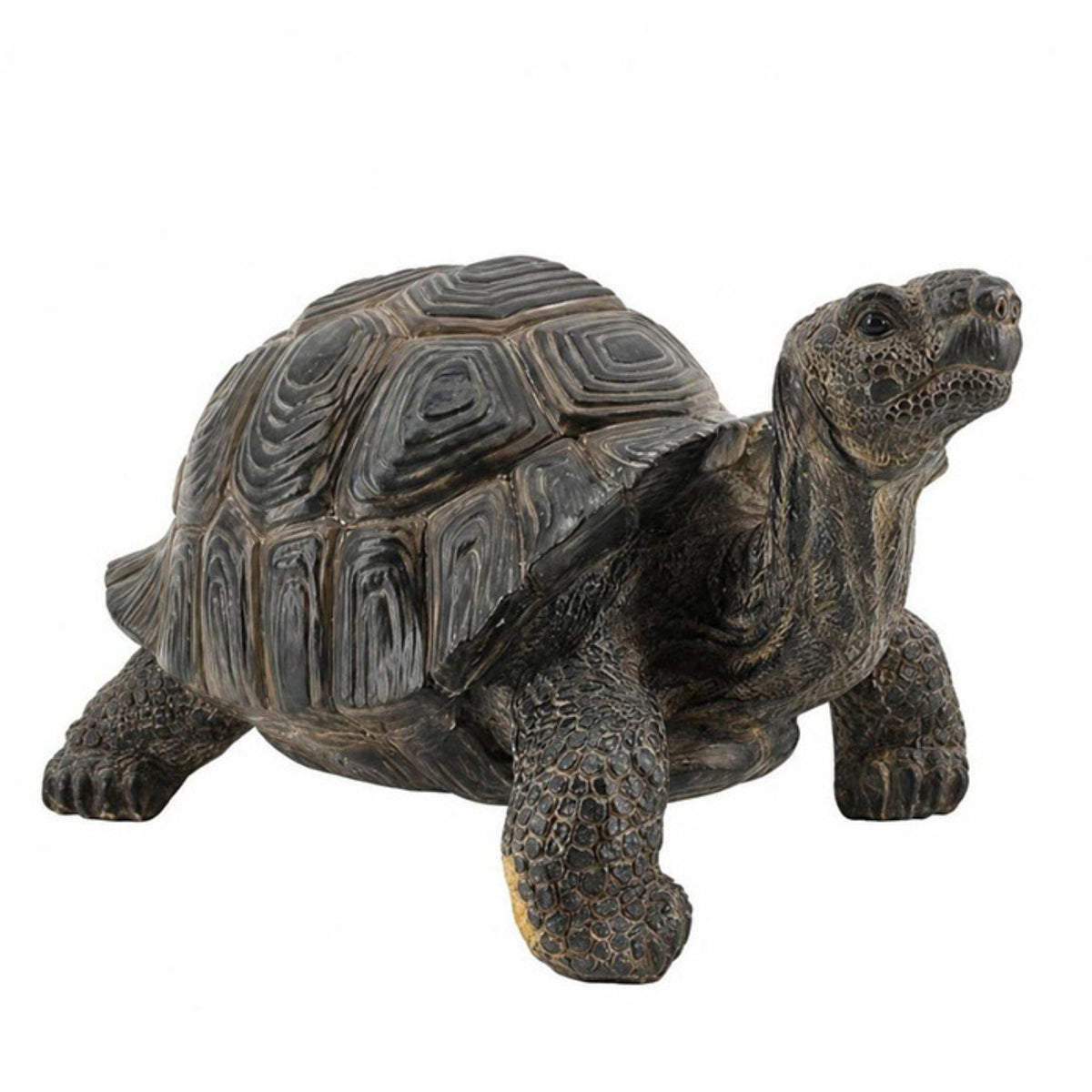 Turtle Figurine Naturalistic Turtle Statue Rustic Tortoise Figurine for Gardeners, Garden, Pond, Patio