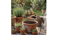 Meerkat Garden Stake Adorable Meerkat Ornament with Stake Outdoor for Gardeners