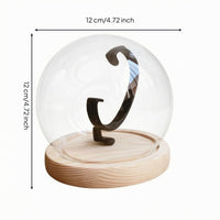 Clear Watch Display Dome Cloche  Showcase Dust Protection Watch Dome Display Lightweight