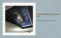 App-controlled fiber ceiling light