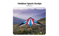 Two-Line-Line Acrobatic Kite Resin Rod Frame Chinese Design Kite Fast And