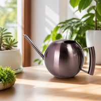 Long Spout Indoor Watering Can, Small Metal Watering Can 1000ml, Stainless Steel Spherical Design for Houseplants