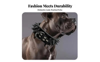 Studded Dog Heavy Duty Large Breed Dog Rustproof Hardware Pet Supplies for Hunters, Daily Wear, Outdoor Walks, Training