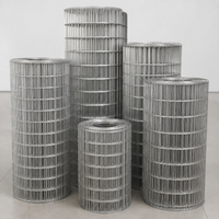 Anti Rust Galvanised Wire Mesh, 2M Dog Fence Roll, 11mm Weld Mesh for Animal Enclosures & Security Screens