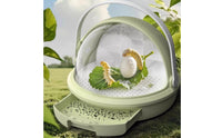 Snail Terrarium Ventilated Snail Habitat with Handle Breeding Box Transparent Terrarium with Handle Detachable for Children