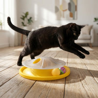 Interactive Cat Toy Exercise Cat Teaser Toy Round for Cats