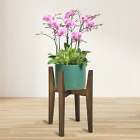 Plant Stand for Garden Decor and Indoor Plant Display, Bamboo Plant Stands Indoor with Telescopic Design, Removable Pot Stands for Outdoor Plants