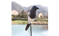 Waterproof Fake Magpie Plastic Realistic Magpie Model Lifelike Outdoor Bird Prop Weather-Resistant for Yard, Orchard