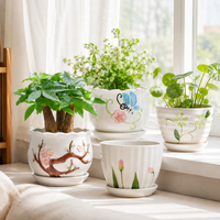 succulent planters