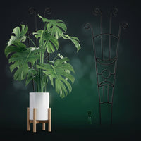 Indoor Plants Garden Trellis for Climbing Plants, Carbon Steel Monstera Support and Plant Support, Tall Garden Trellis