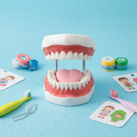 Visible Mouth Interior Brushing Practice Model Coil Hinges Tooth Brushing Model Pink Gums Teaching Aid
