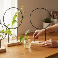 Iron Art Hydroponic Plant Climbing Trellis with Wooden Base, Round/Spiral Desktop Support for Potted Plants