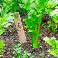 14 Pieces Garden Labels with Stakes Flat Garden Placards Plastic Plant Labels Decorative Markers Reusable for Gardeners