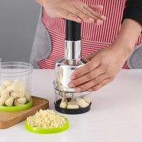 Stainless Steel Multi-Function Garlic Press and Chopper